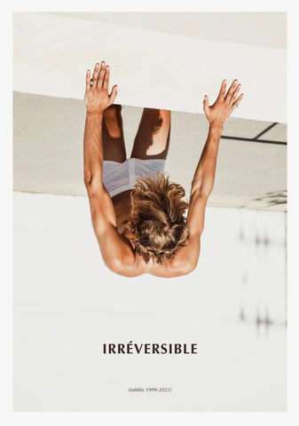 New book Irréversible by Stéphane Gizard
