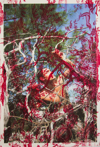 Arnaud Cizergues Trees North Captiva (on red Mythic toile), 2013, Tim Hailand