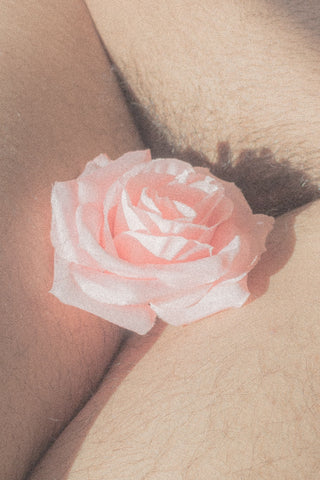 El Beso de la Rosa, 2020, Alejo Dillor