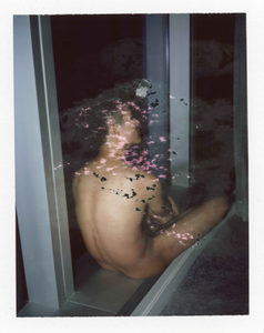 Damaged Portrait, 2015, Sebastian Perinotti
